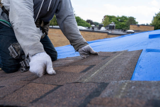 Quick and Trustworthy Emergency Roof Repair Services in Steelton, PA