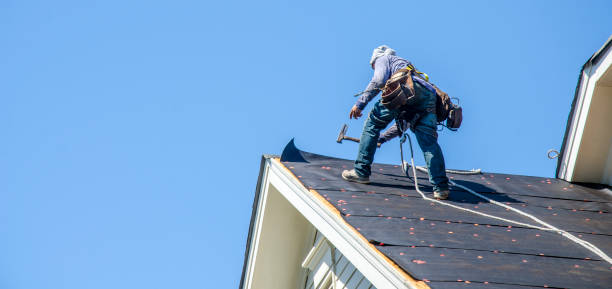 Best Roof Gutter Cleaning  in Steelton, PA